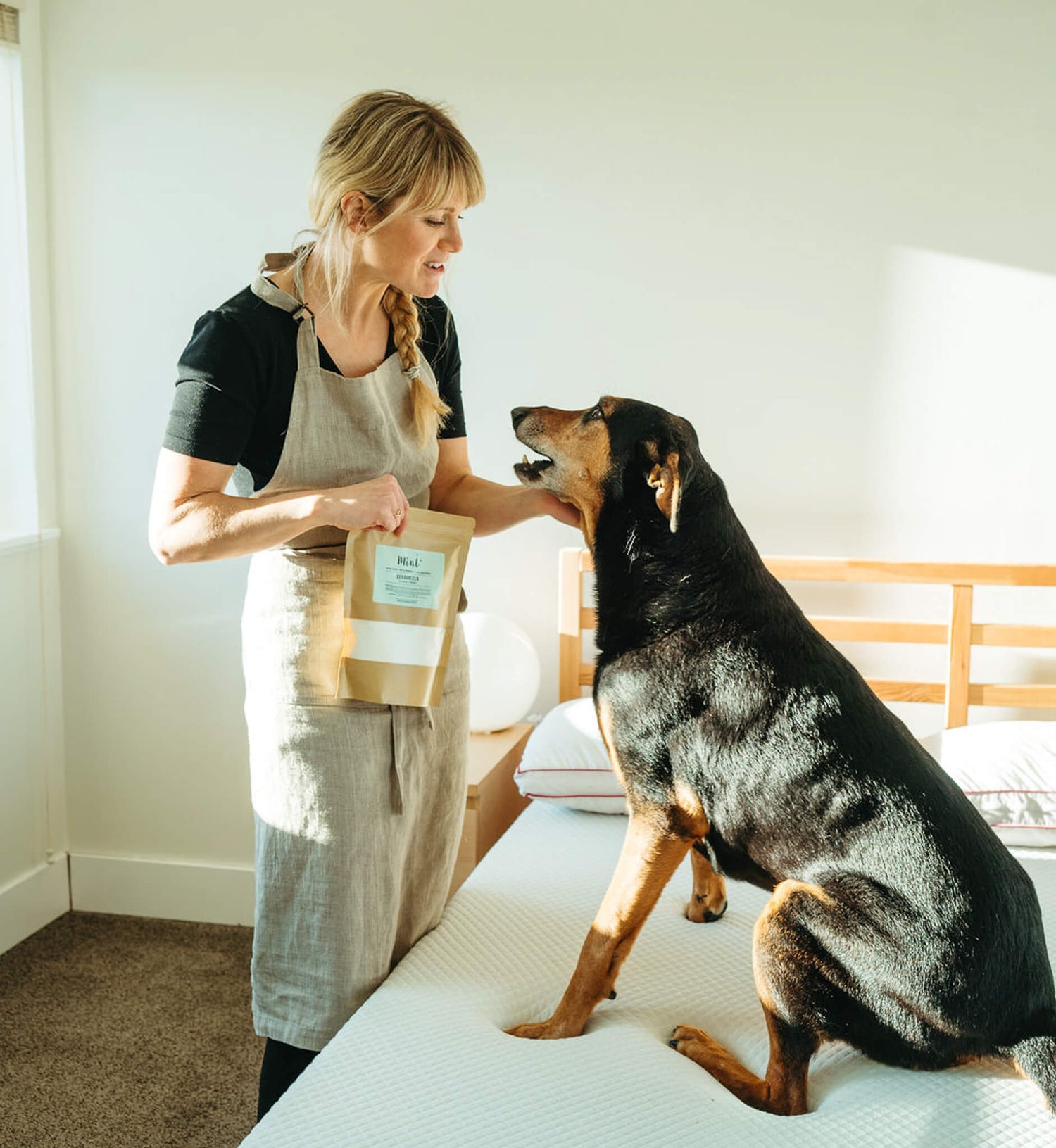 How to Remove Pet Stains Naturally: Eco Friendly Cleaning Tips