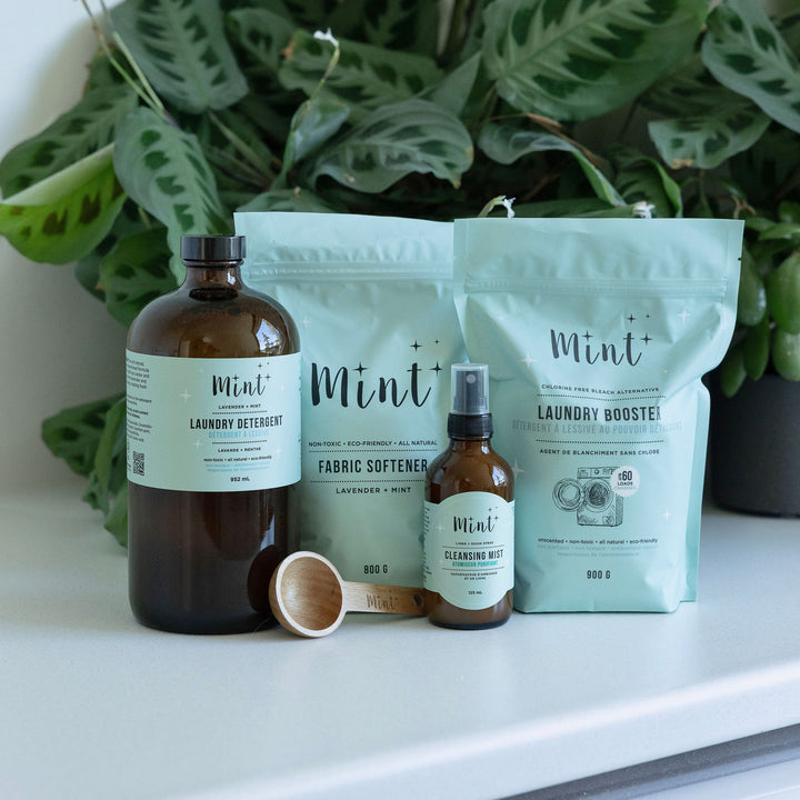 Mint Moving Clean Best Sellers – Mint Cleaning