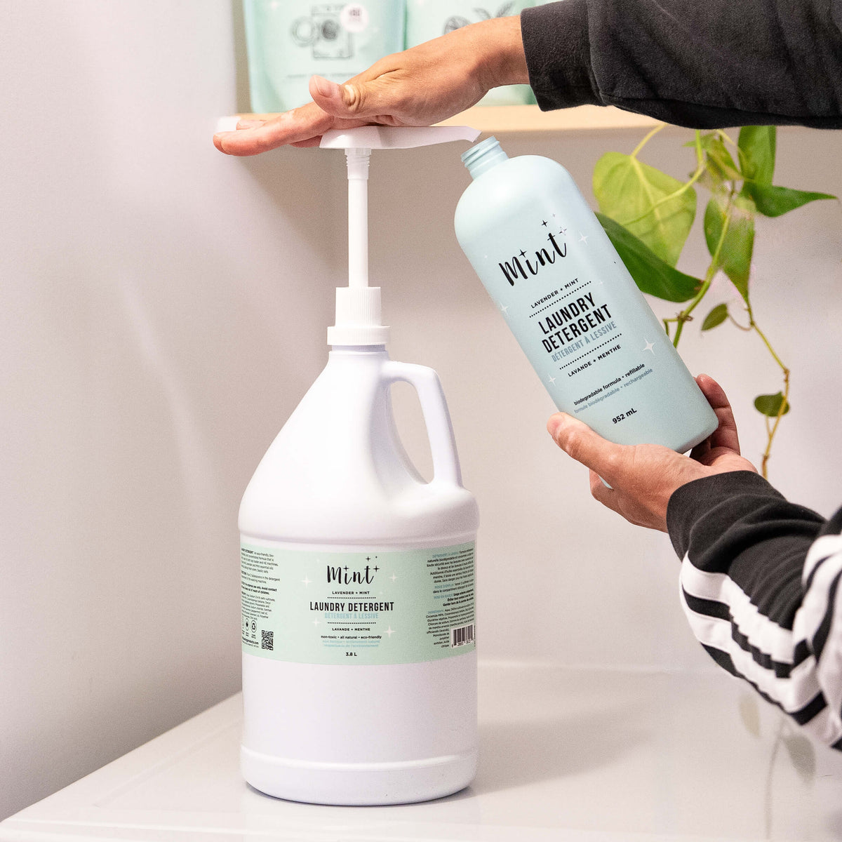 Laundry Detergent - Refill Jug